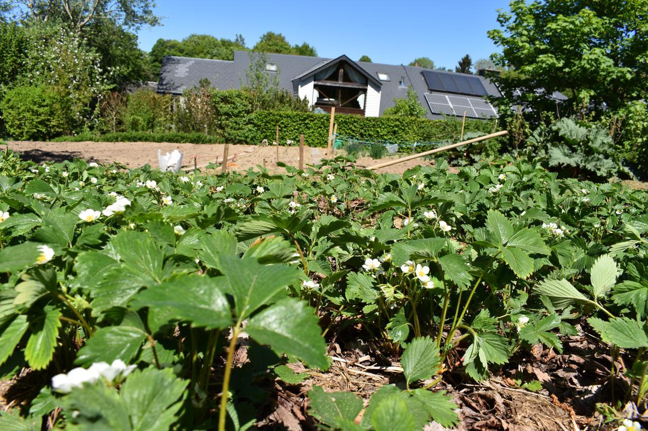 Gites-Clairiere-Ardenne Louftémont Exterior foto